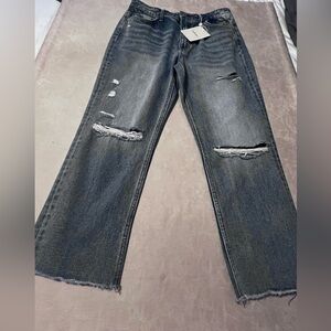#4621, Vervet Blue Bohme Women's Distressed Jeans. Size 30. NWT